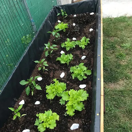 La Casica De Maria, Entorno Rural, Camino De Santiago Feriehus Grado